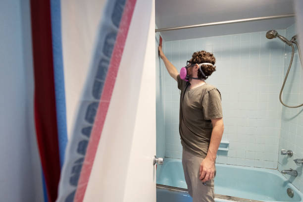 Best Post-Construction Mold Inspection  in East Brewton, AL